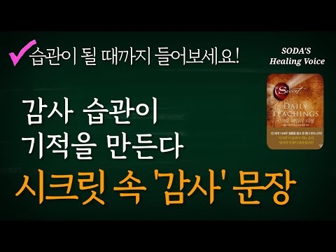 론다 번의 '시크릿 데일리 티칭' 속 감사 문장 (중간 광고 없음) / 감사가 습관이 될 때까지 반복해서 들어보세요! (7번 반복) / Healing Voice Book ASMR