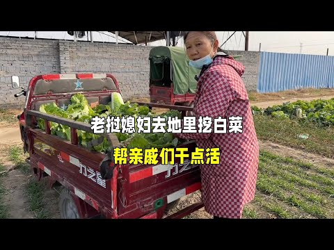 Laotian wife helped relatives to dig up Chinese cabbages