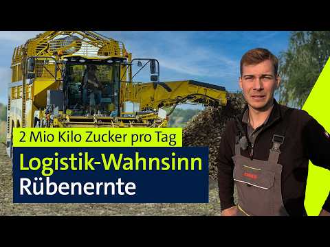 Rüben-Ernte Tag und Nacht: Vom Feld zum Zuckerwürfel | Abendschau Reportage | BR24