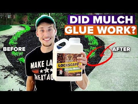 I Tried Mulch Glue For Landscaping in 2025 - Here's What Happened