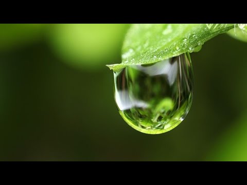 LA LLUVIA - Los secretos del planeta - Documental Planeta Tierra