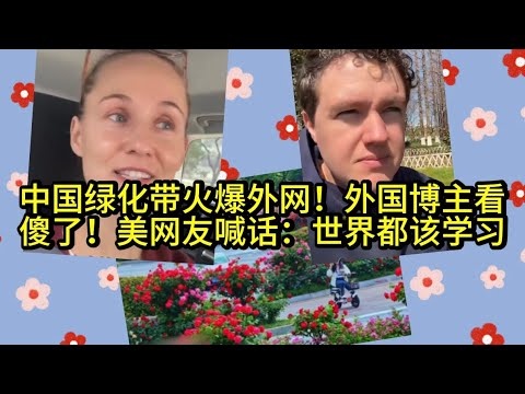 绿化带火爆海外!外国博主看傻了!美网友喊话:世界都该学习