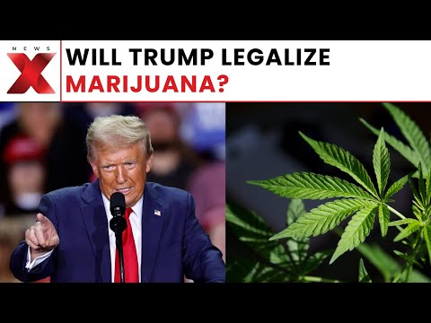 Analysts Say Trump’s Cannabis Push Likely Falls Short of Full Legalization