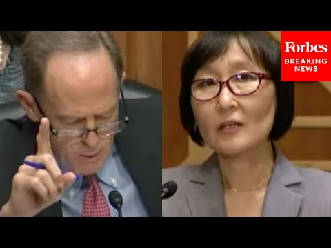 'In Your Words, And I Quote...': Toomey Confronts Saule Omarova Over 'Disturbing' Writings