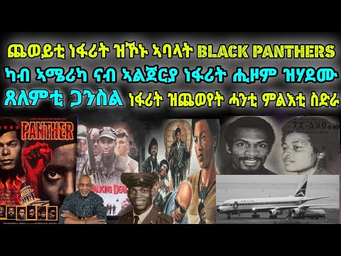 ካብ ኣሜሪካ ናብ ኣልጀርያ ነፋሪት ሒዞም ዝሃደሙ ፡ ጸለምቲ ጋንስል