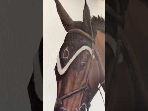 It’s commission season! #equestrianart #oilpainting #equineart #petportrait #artwork