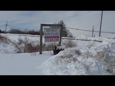 Animal sanctuary seeks community support to expand mission