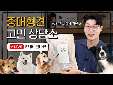 [LIVE] 중대형견 관련 질문 받아요 🙋🏻‍♂️ (feat. 이벤트)