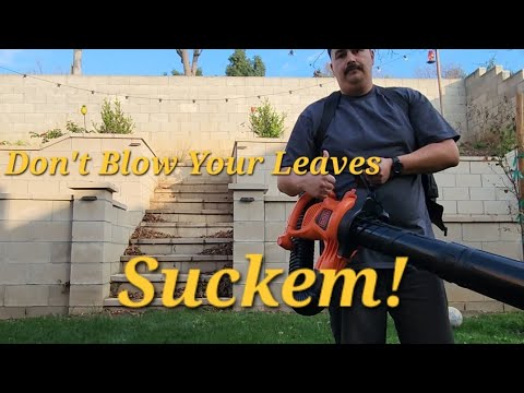 Review On 3 in 1 Leaf Blower And Vaccum  DIY Lawn Guy