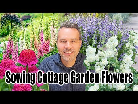 Sowing Flower Seeds for the Cottage Garden