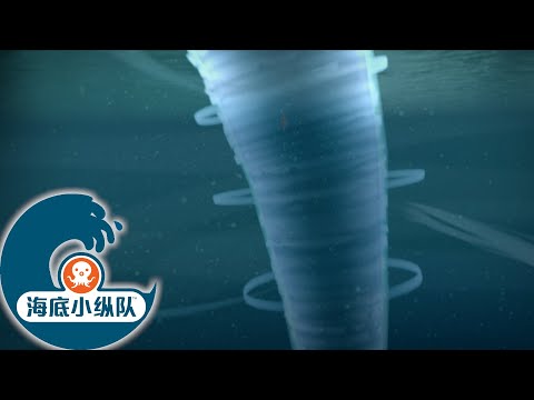 海底小纵队 - 漩涡 | 海底探险