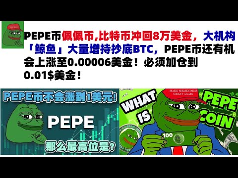 PEPE币佩佩币,比特币冲回8万美金，大机构「鲸鱼」大量增持抄底BTC，PEPE币还有机会上涨至0.00006美金！必须加仓到0.01$美金！#PEPE币#meme币#佩佩币行情分析