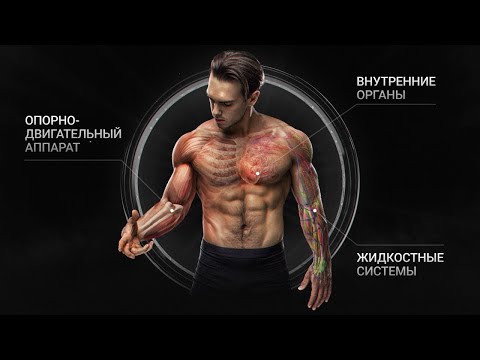 САМАЯ НЕДООЦЕНЕННАЯ ПРИВЫЧКА XXI ВЕКА | Фильм Biomachine