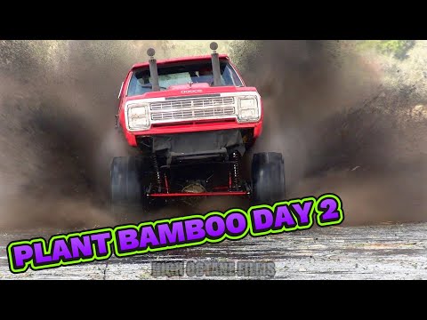 PLANT BAMBOO TRUCKS GONE WILD MUDDY VALENTINE DAY 2 FRIDAY OPEN BOGGING