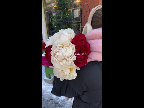 Holiday Peonies