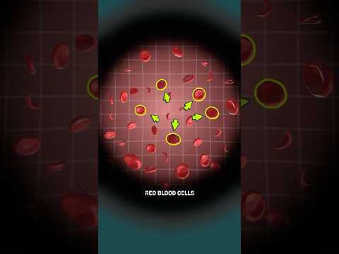 They Updated the DNA in Their Blood