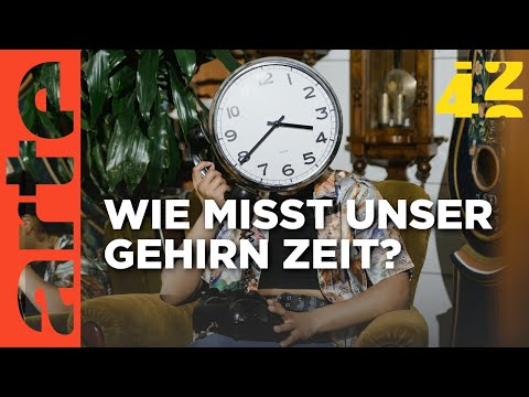 Können wir Zeit fühlen? | 42 - Die Antwort auf fast alles | ARTE