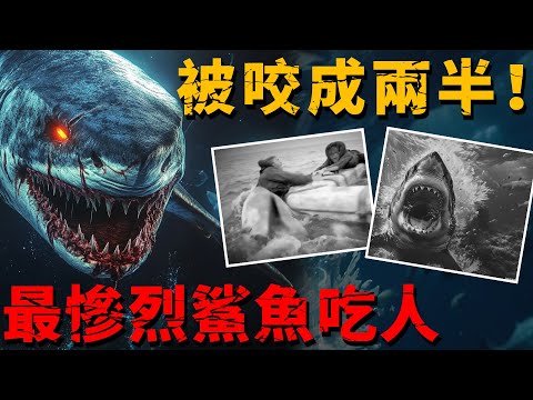 Sharks Tear Soldiers in Half — WWII’s Largest Shark Attack: 900 Men, Hundreds Dissected!