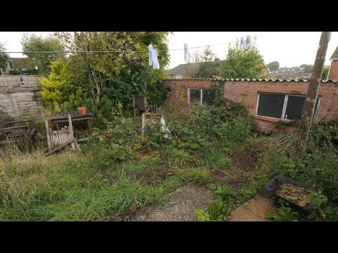 Their Garden Became Impossible… The Before & After Is Unbelievable