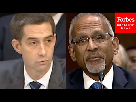 Tom Cotton Sounds Off On 'Uniquely Unqualified' Biden Judicial Nominee