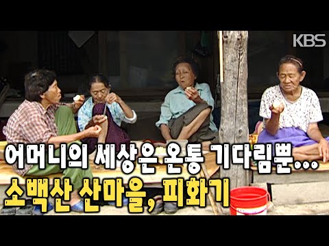 10남매, 6남매, 자식 키워 도시로 보내고, 다시 그 자식들을 기다리는 아버지, 어머니. 소백산 깊은 산마을, 피화기 [KBS 20080914 방송]