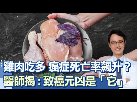 研究：每周「吃禽肉超過300g」會增加27%死亡率？！名醫指出：肉類「2成分」才是致癌、心血管疾病關鍵！「1類肉品」比紅、白肉都更毒！恐成第一級致癌物｜祝你健康