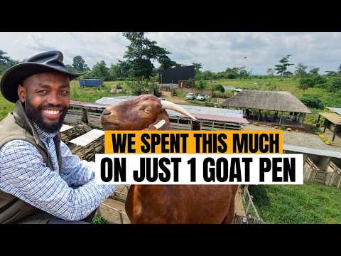 THIS IS HOW MUCH YOU NEED TO BUILD A GOAT FARM IN GHANA