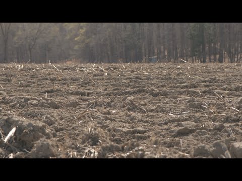 Green Week | Agroecology and Soil Health