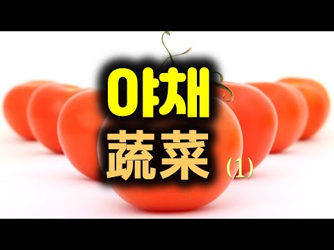 야채(蔬菜) 종류 중국어로 말해보기&야채를 활용한 일상생활 중국어 회화(1)
