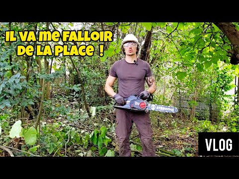 Je rase ma forêt pour construire la NOUVELLE VOLIÈRE 