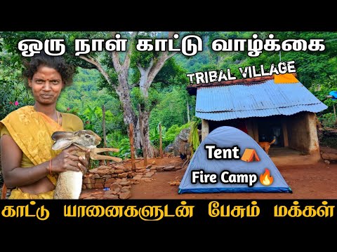 காட்டு யானைகளுடன் பேசும் இருளர் மக்கள் #forest #village #tribal #junglelife #westernghats #elephant