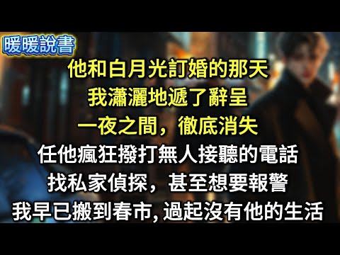 他和白月光訂婚的那天，我瀟灑地遞了辭呈，一夜之間，徹底消失。任他瘋狂撥打無人接聽的電話，找私家偵探，甚至想要報警。我早已搬到春市，開始過起沒他的生活。
