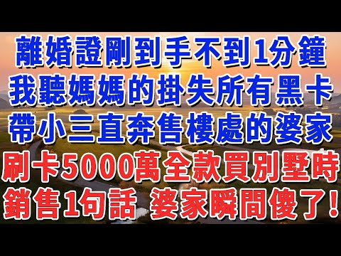離婚證剛到手 下一秒,我聽媽媽的掛失所有黑卡,帶小三直奔售樓處的婆家,刷卡5000萬全款買別墅時,銷售一句話 婆家瞬間傻了!#妮妮故事會 #情感故事 #老年生活