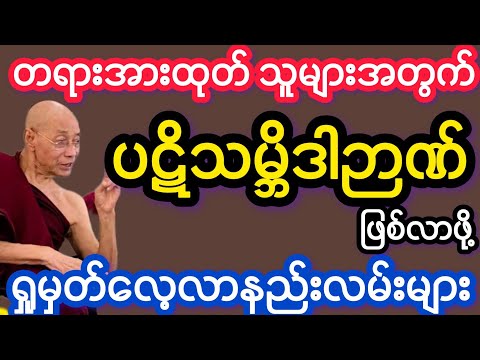 ပါမောက္ခချုပ်ဆရာတော်ဟောကြားသော ပဋိသမ္ဘိဒါဉာဏ်ကိုလေ့လာသုံးသပ်ခြင်းတရားတော်