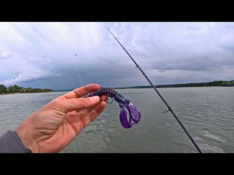 Нашёл Логово Щук и обхитрил МЫШИНОЙ проводкой на спиннинг 