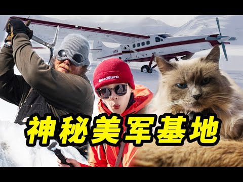 探秘废弃美军基地,一只猫当了市长?