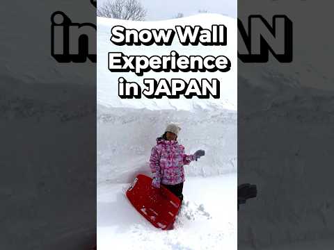 Snow Wall Experience❄️ in Japan🇯🇵 #shorts