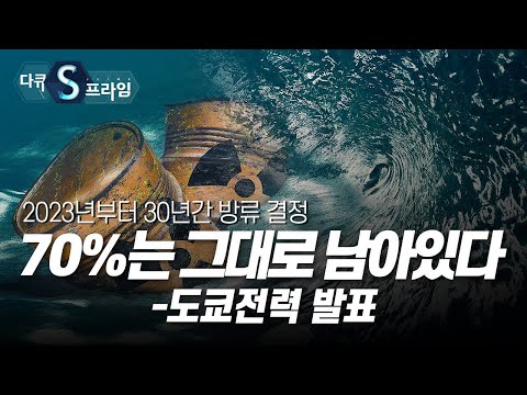 푸른 바다의 눈물, 그리고 우리는 [#다큐S프라임] / YTN 사이언스