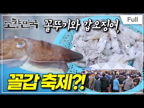 [Full] 고향민국 - 서천, 바다 곳간 열렸네