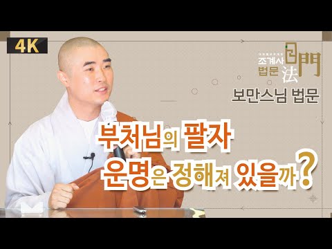 보만스님 #조계사법문 #토요법회 #삶이_행복해지는이야기