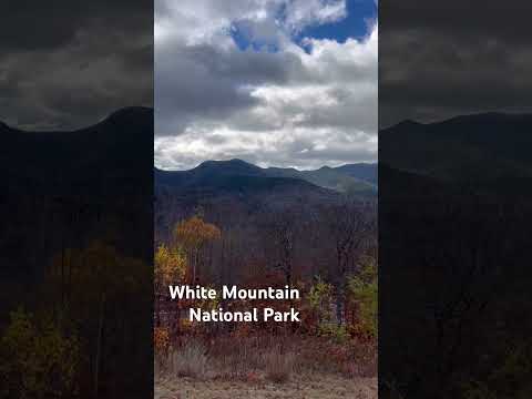 #whitemountains #nationalpark #travel #newhampshire #shorts #youtubeshorts #yolo