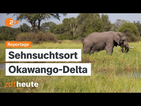 Emigrating to Botswana: The dream of independence in the national park