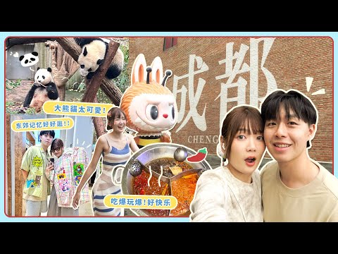 🐾 成都自由行！和萌翻天熊猫面对面😍好玩好吃｜宽窄巷 鹤鸣茶社 东郊记忆｜中国8点档