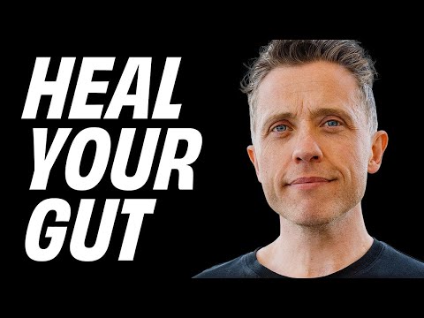 FUEL YOUR MICROBIOME Through Plant-Based Nutrition | Dr. Alan Desmond X Rich Roll