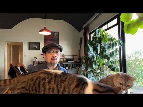 终于知道“妄议中央”是怎么回事了：天津市委组织部长言论曝光，目前中共官场生态是“噤若寒蝉”；海南封岛：妄想建成另一个香港，为台湾做榜样的野望能不能实现；立好遗嘱，别让政府抢走钱