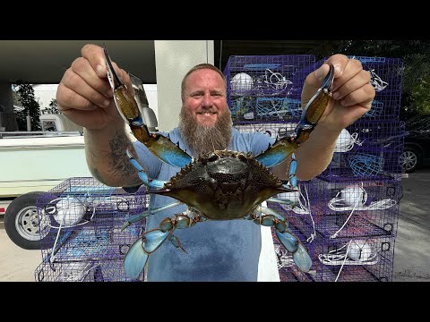 The ONLY way to catch Blue Crabs ! 🦀 | Catch Clean Cook