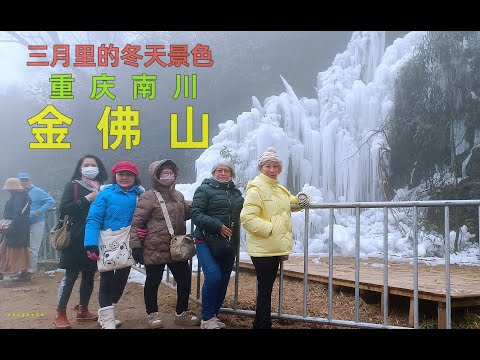 重庆游 金佛山景点 金佛山位于重庆南部南川市境内，属大娄山山脉，又名金山，古称九递山，由金佛、箐坝、柏枝三山108峰组成。主峰风吹岭海拔2251米 03/03/2024 Chongqing China
