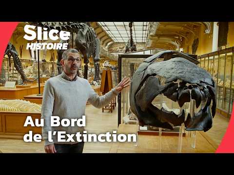 Extinctions de Masse : Les 5 Apocalypses Qui Ont Ravagé la Terre | SLICE HISTOIRE | DOC COMPLET