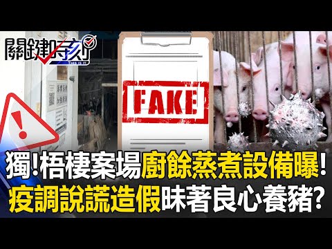 獨家！梧棲案場廚餘蒸煮設備曝！ 疫調說謊文件造假昧著良心養豬！？【關鍵時刻】20251103-2 張炤和 吳政峰 林裕豐 林廷輝