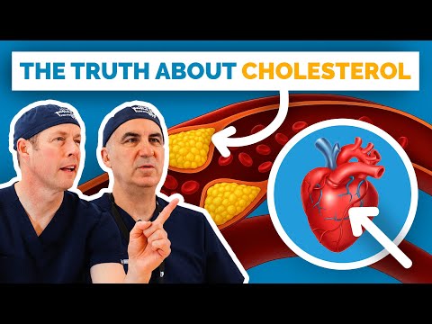 What Everyone Gets Wrong About Cholesterol
